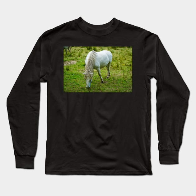 Small White Horse / Pony Eating Grass Long Sleeve T-Shirt by Harmony-Mind